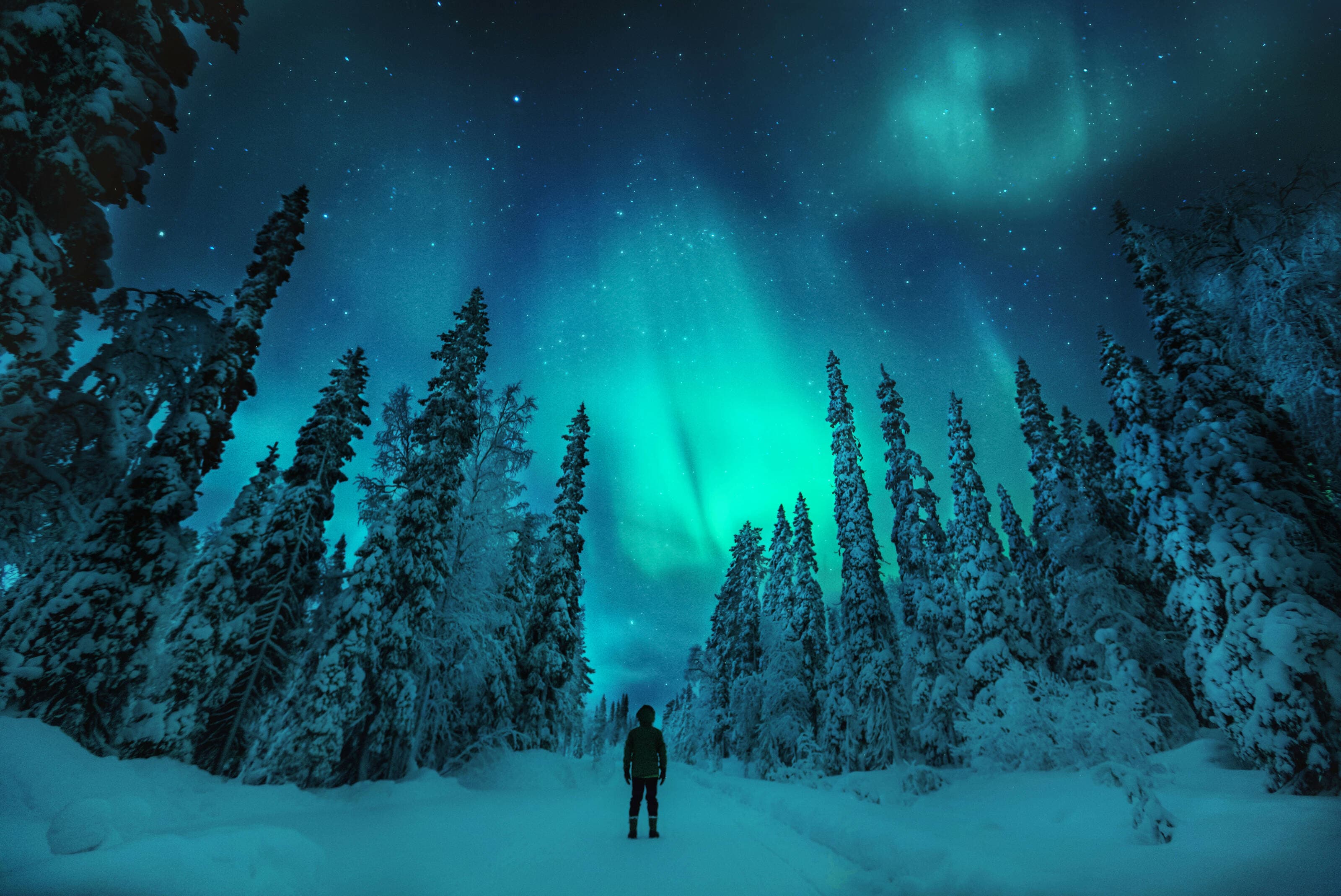 Northern Lights Hunting
