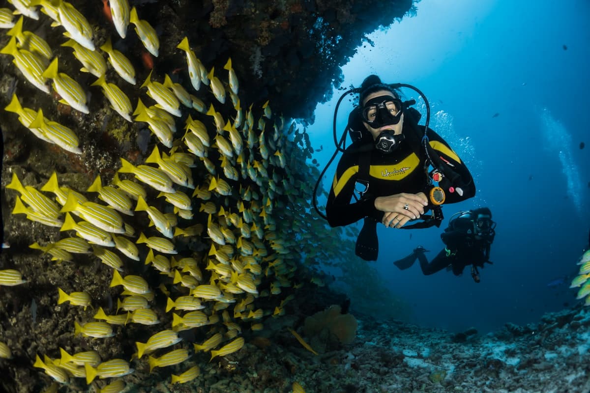 RIDE WAVES & PRIVATE YACHT ADVENTURE